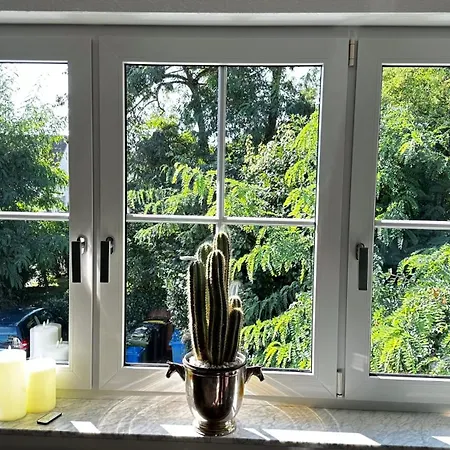 Exklusive Und Business