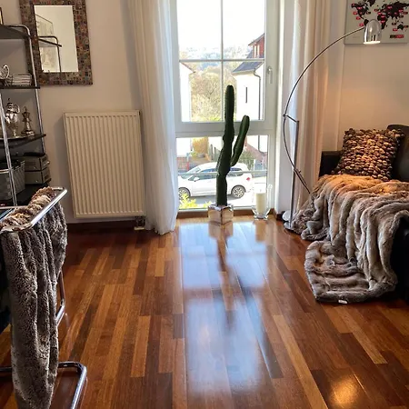 Exklusive Und Business Apartment Marburg